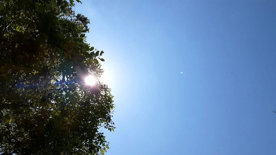 Bright sunlight peeking through green tree leaves against a clear blue sky, creating a natural lens flare effect. The sun's rays filter through the foliage, demonstrating how UV light interacts with natural barriers.