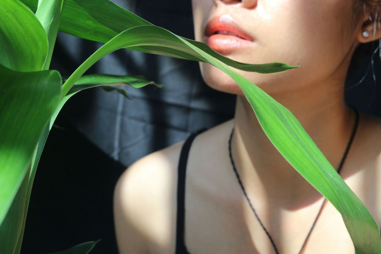 anti-inflammatory, antioxidant, and antimicrobial benefits without clogging pores or triggering redness